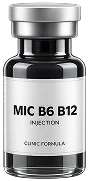 MIC B6 B12